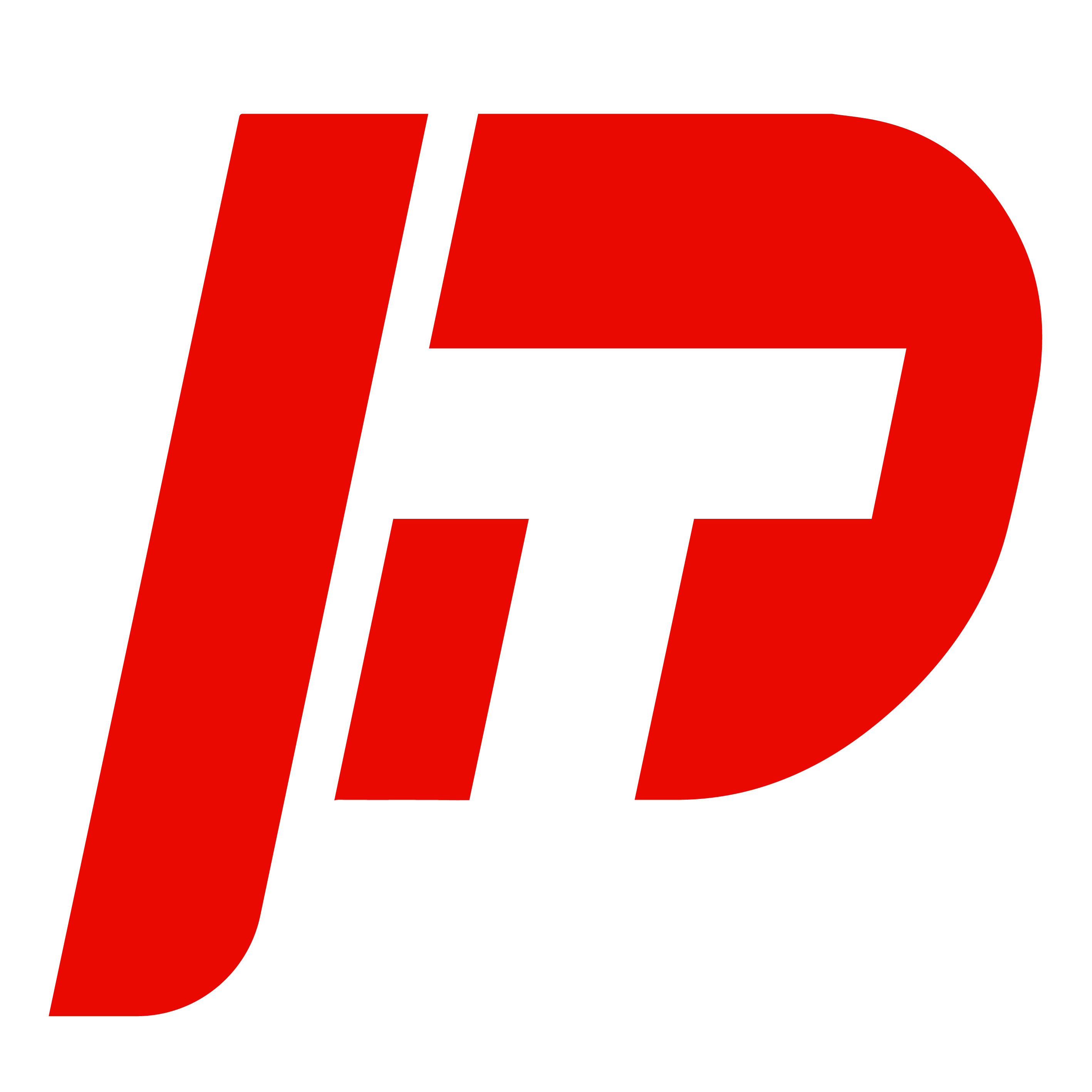 LOGO PT