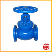 Globe Valve
