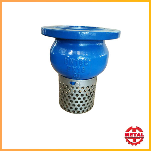 Foot Valve