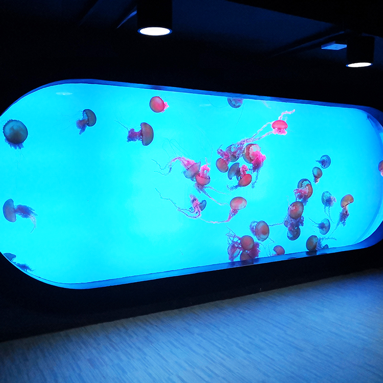 100 गैलन ऐक्रेलिक एक्वेरियम 