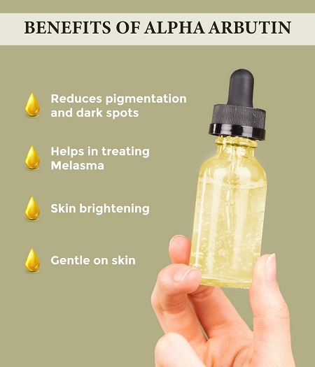 Alpha Arbutin Benefits-ZHENYIBIO