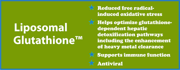 en iyi lipozomal glutatyon - ZHENYIBIO