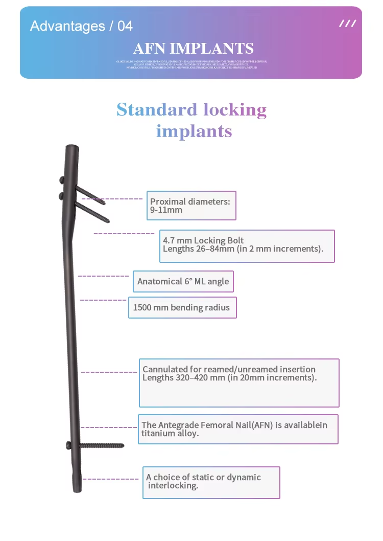 At&oacute;g&aacute;il Femoral Intramedullary ingne-4