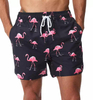 Trunk Logy Logy Dress Shorts