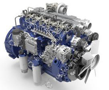 Weichai Original Diesel Motor(WP6.245E50) 