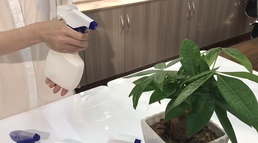 Rendimiento Duradero: Menos Frustración Con Pulverizadores Resistentes