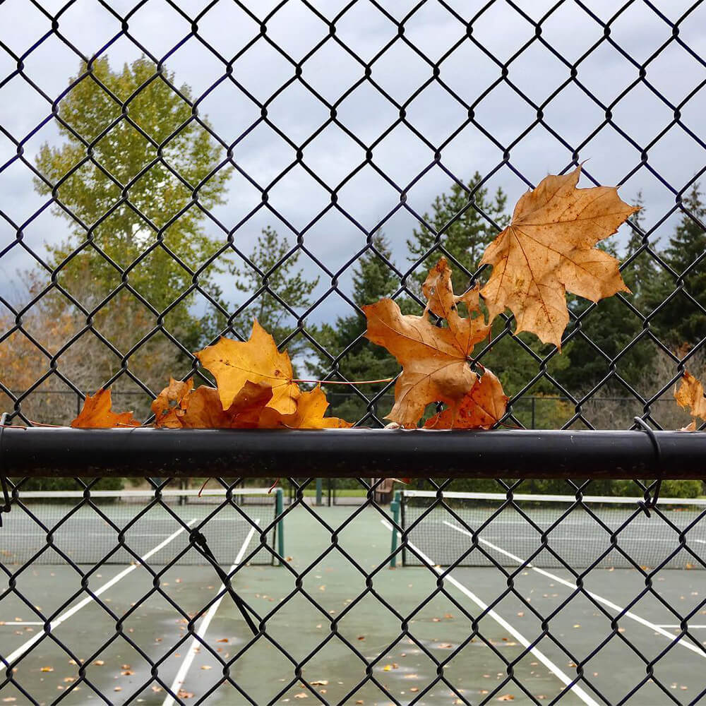 Chain Link Fence