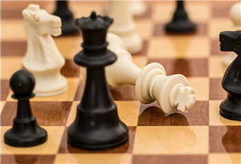 What Are the Chess Facts That We Don’t Know?