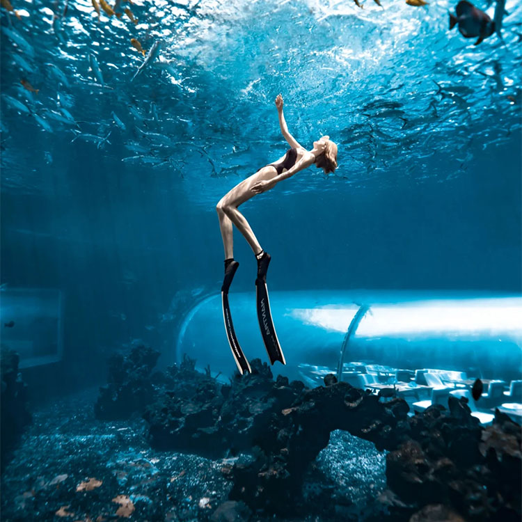  acquario a tunnel