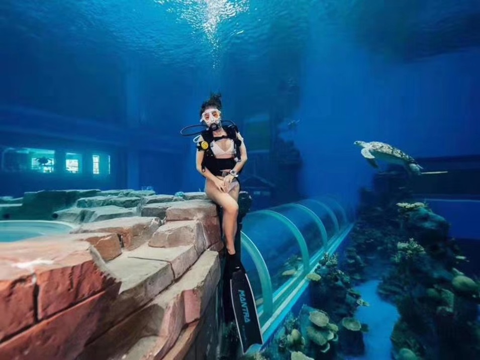 Dali Polar Ocean World - Akrilni akvarij (2)