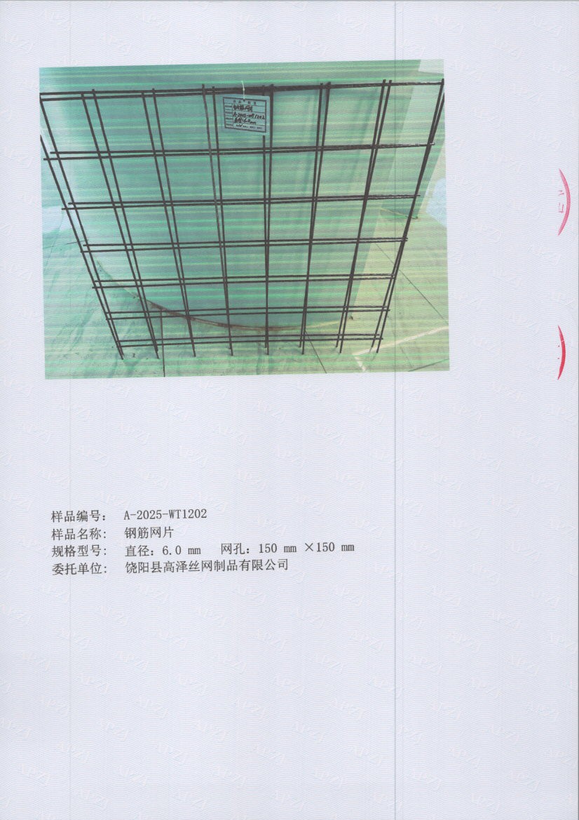 1202 005
