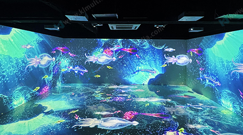 الإسقاط غامرة