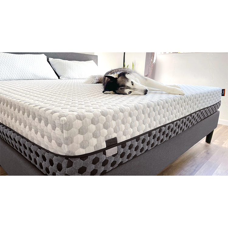 Customized Material Single Bed Mattress Memory Foam Provide A Sense of Comfort in Low Price