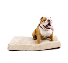  Cheap New Arrival High Quality Factory Memory Foam Wholesale Factory Pet Bed 