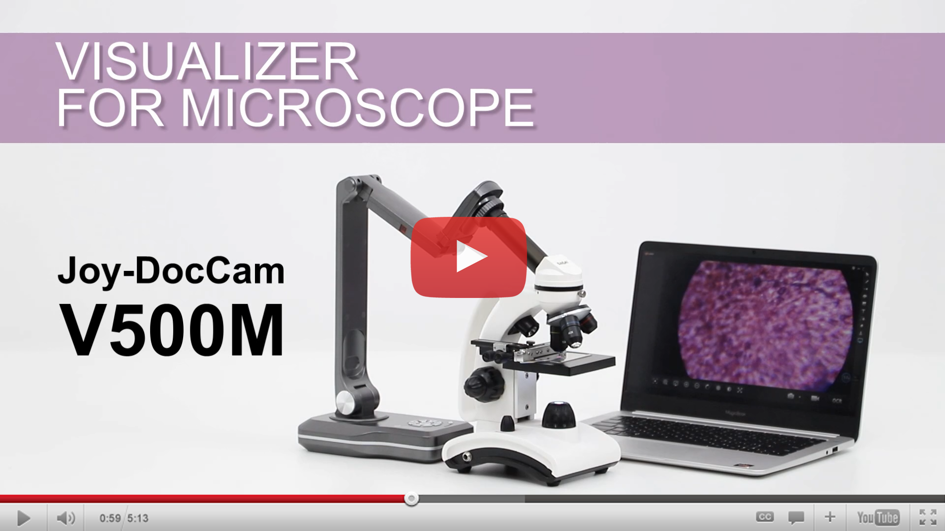 visualizer for microscope