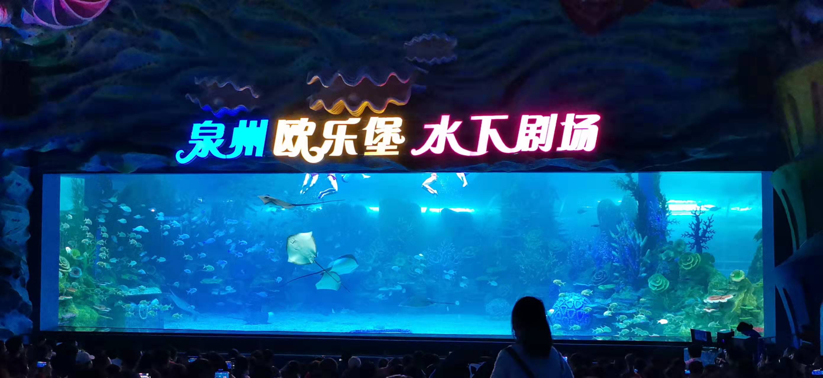 ऐक्रेलिक विंडो एक्वेरियम - निर्माण