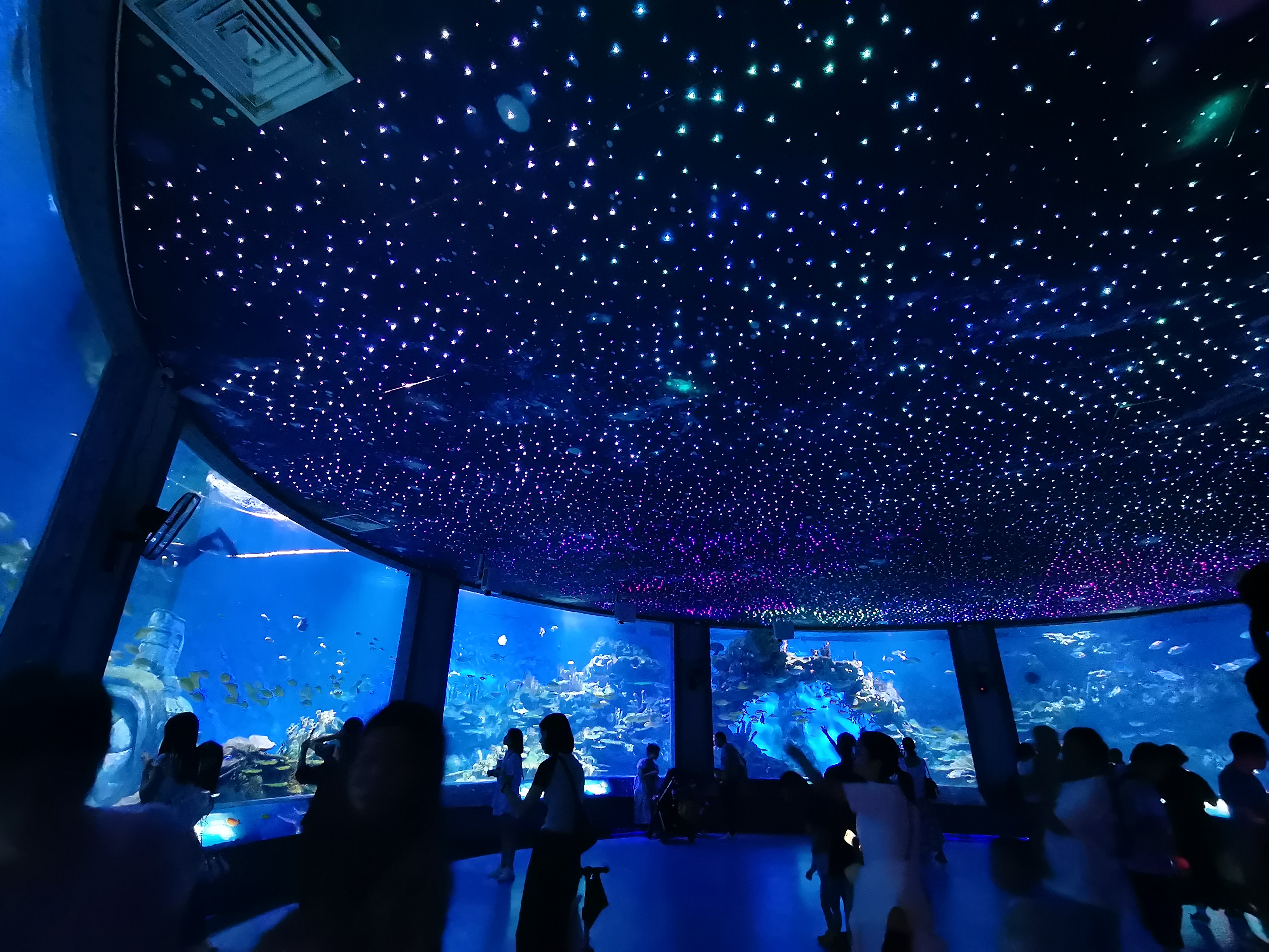 Aquarium puka aniani - LEYU ACRYLIC