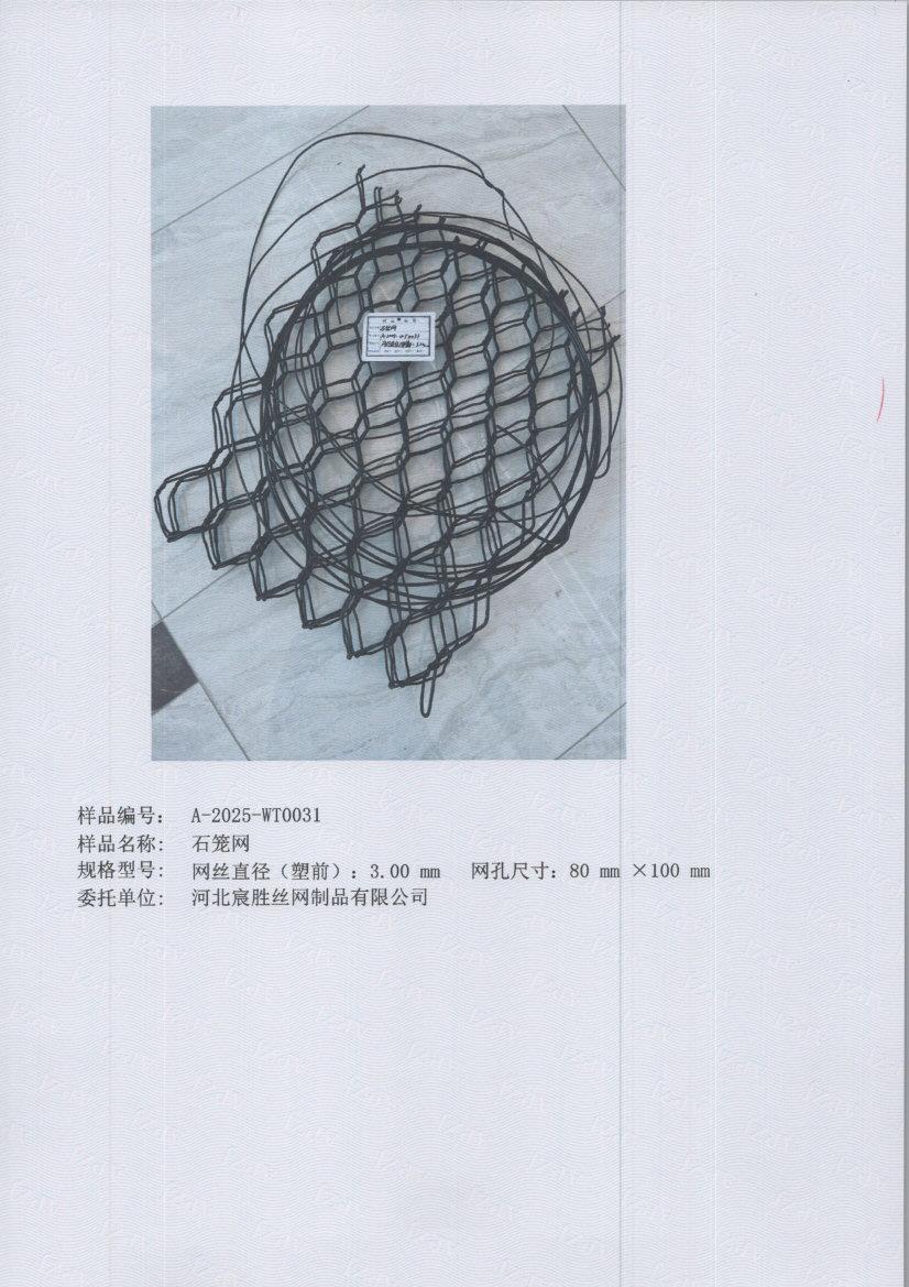t0031 005