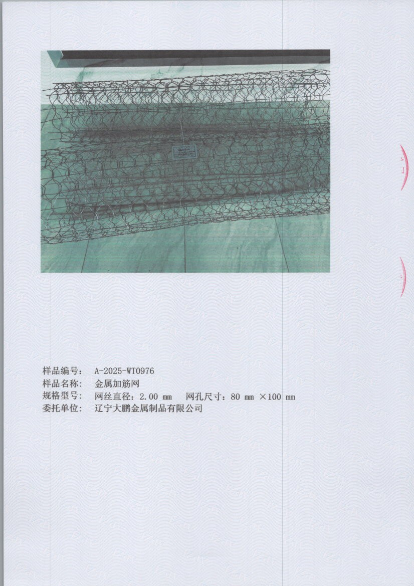 0976 005