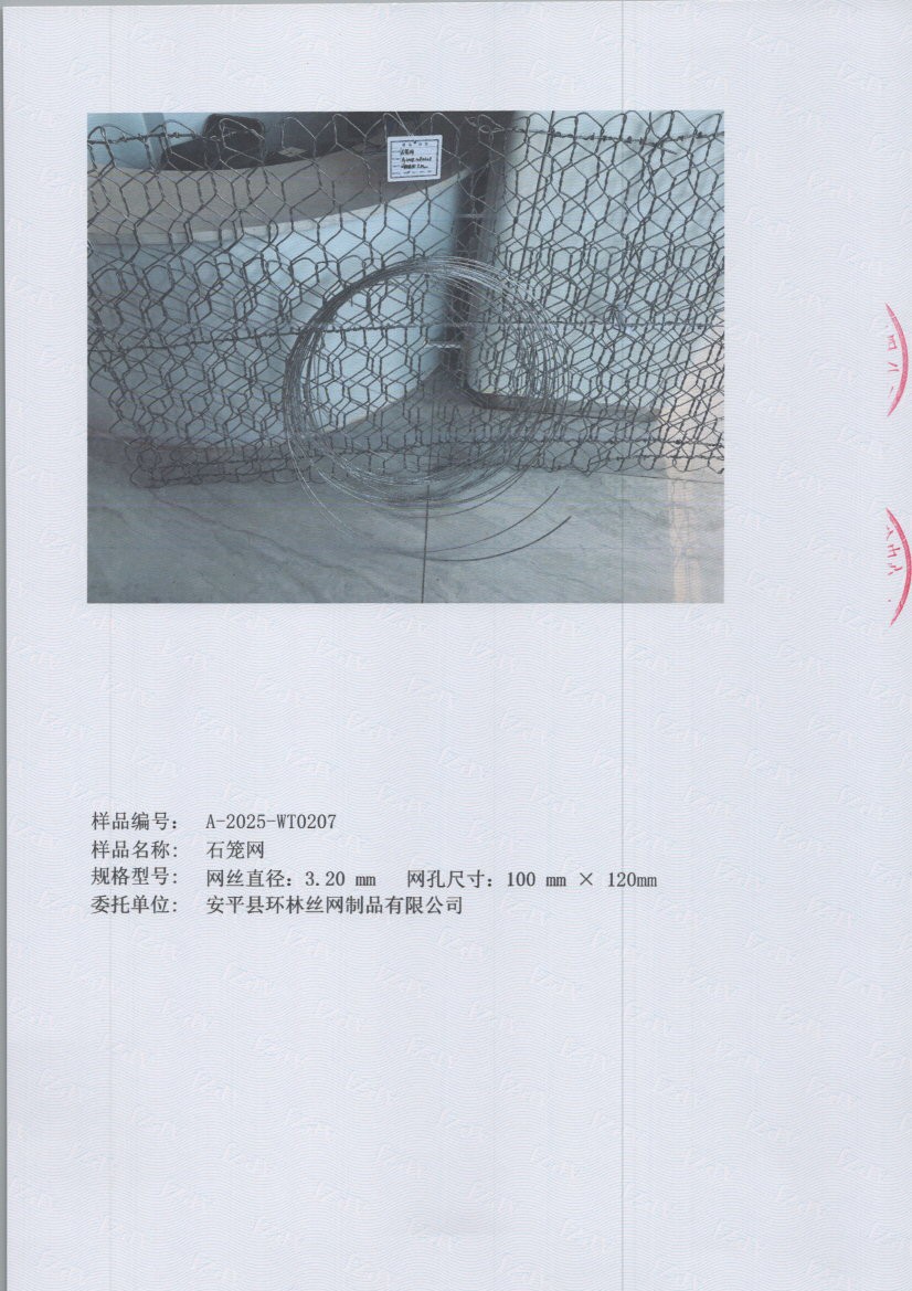 t0207 005
