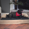 Hot Sale Orthopedic Manufacturers Pet Cute Fancy Memory Foam Dog Bed
