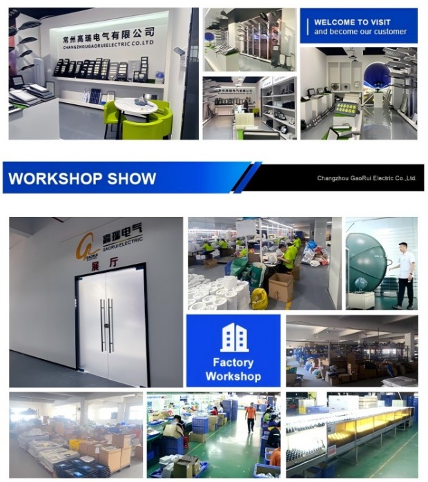 Гаоруи Электрик