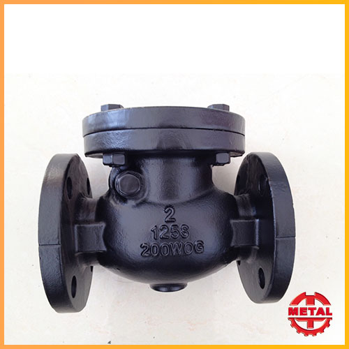 Swing Check Valve