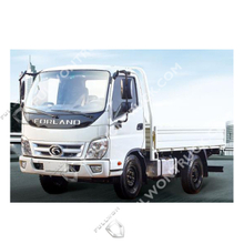 Fullwon Forland 3 Tons Euro 4 Cargo Truck