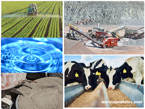 ferrous sulfate monohydrate uses-Chinese ferrous sulfate monohydrate manufacturer