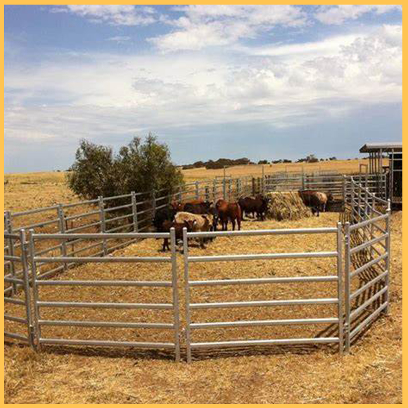 Cattle Fence Panel