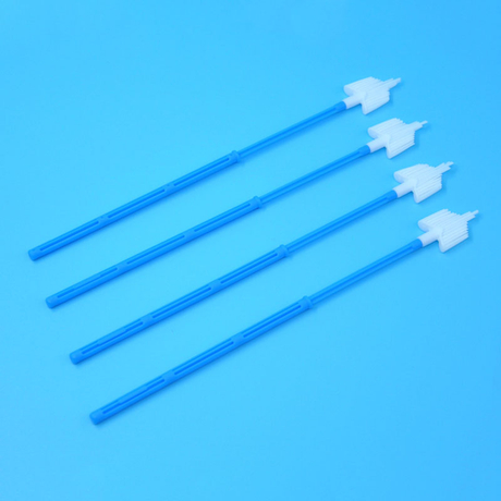 ST5019 Cervical Brushes