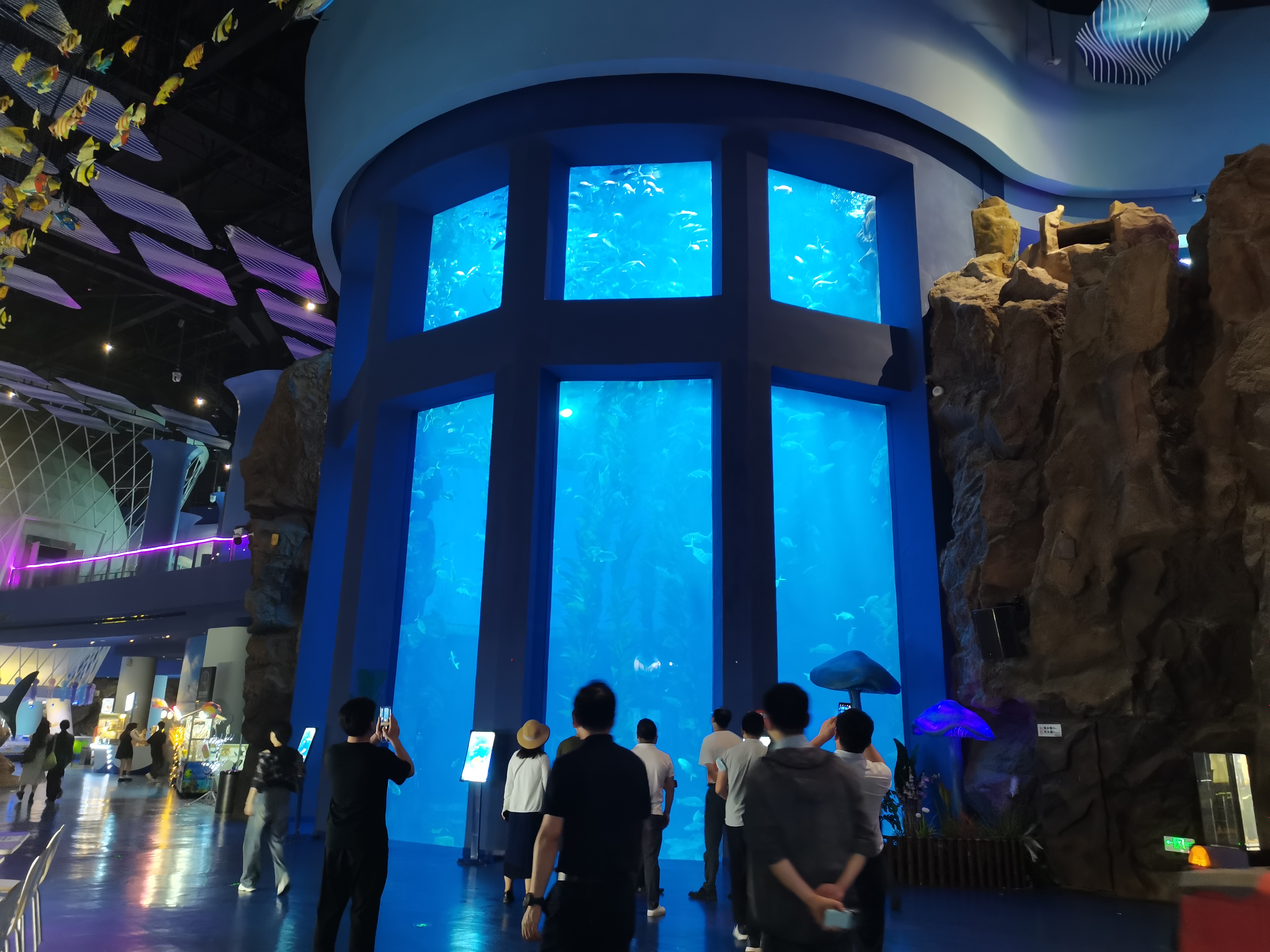 Acquario con finestra in acrilico - produzione