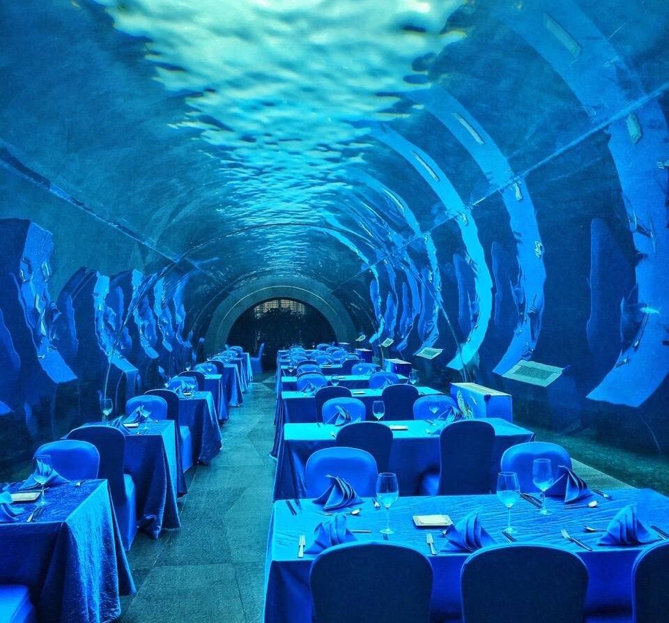 Akrilni tunelski akvarij - LEYU ACRYLIC