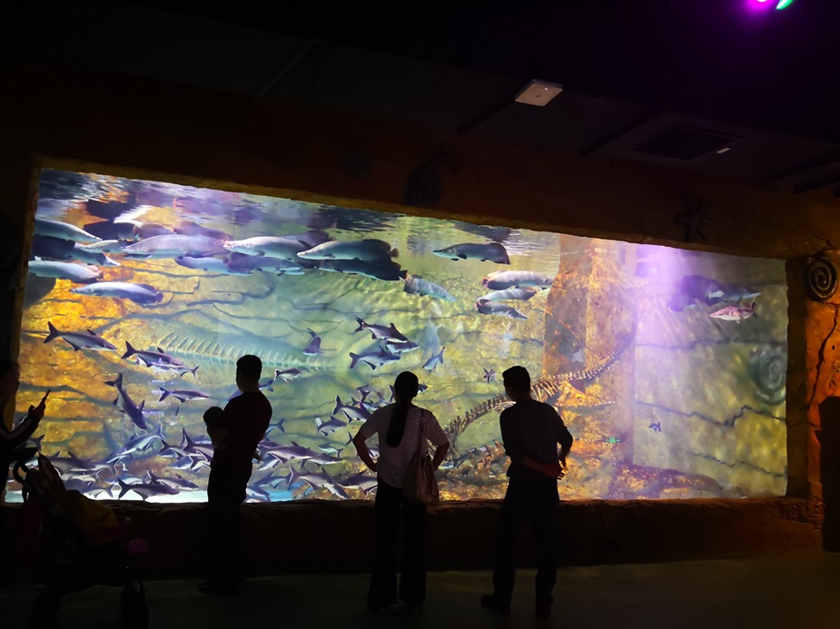Chongqing Hanhai Polar Ocean World - Leyu Arylic Aquarim-venster