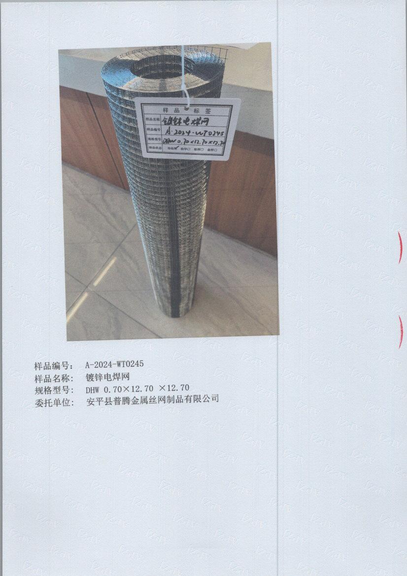 t0245 005