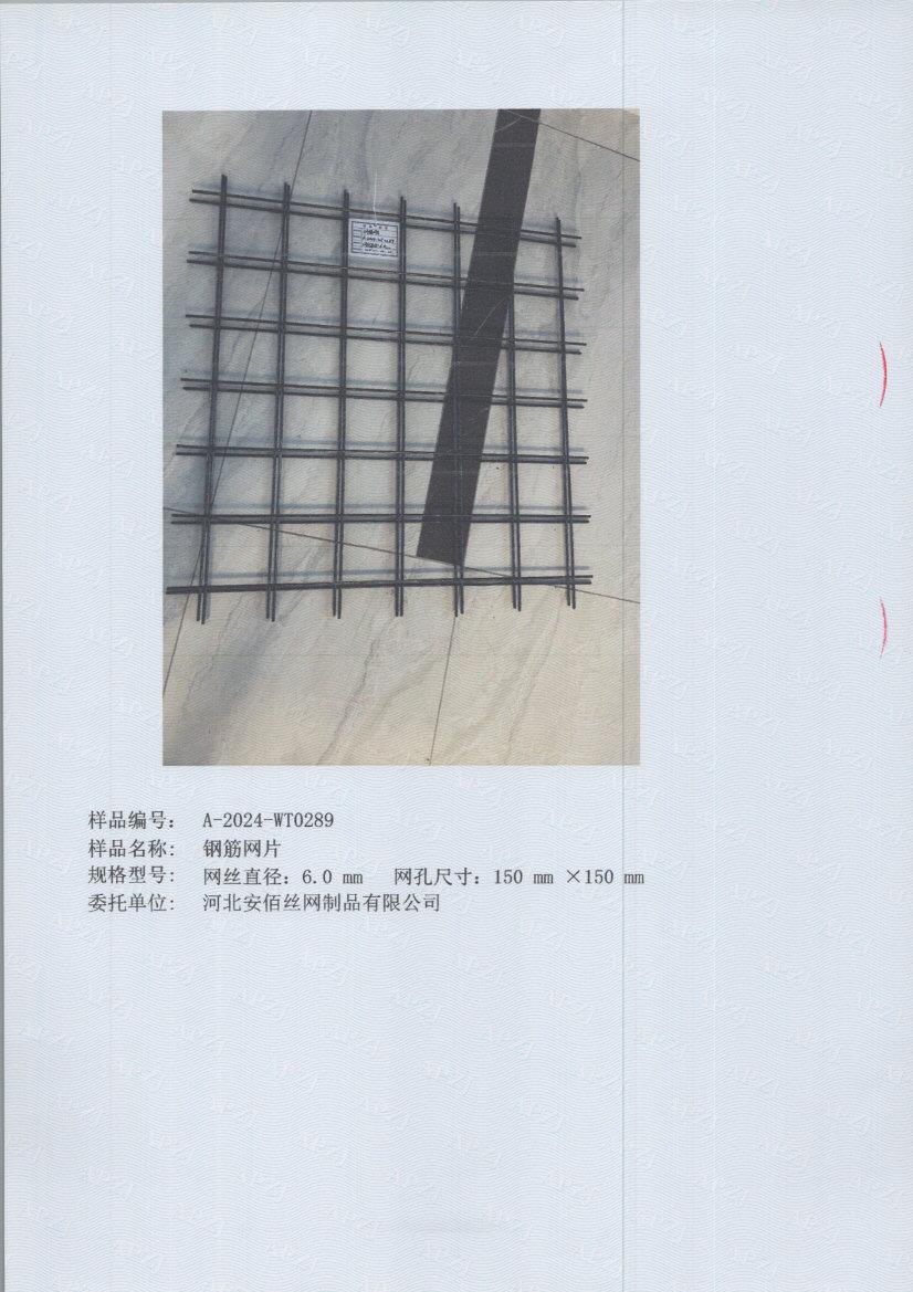 t0289 005