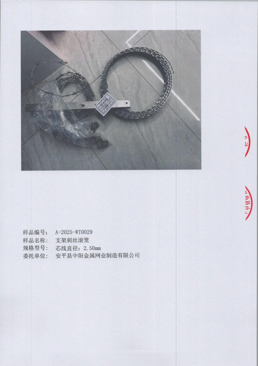 t0029 005