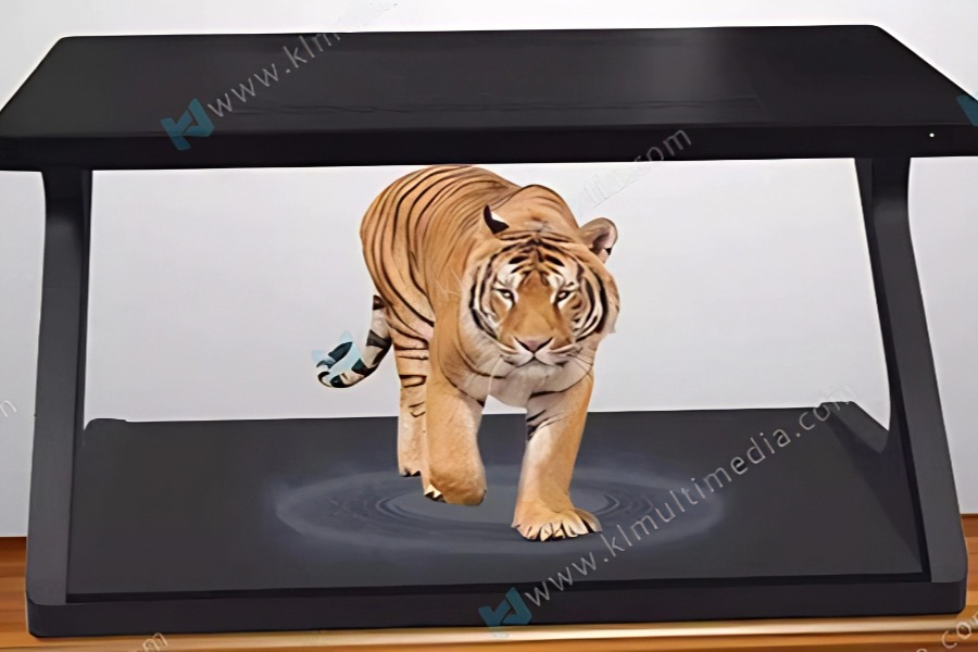 خزانة عرض ثلاثية الأبعاد بزاوية 180 درجة