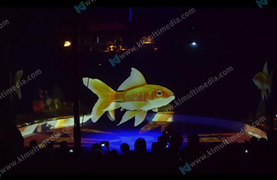 عرض الهولوغرام الإسقاط