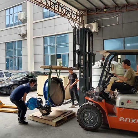 Lug Wafer Jenis Butterfly Valve Kilang COVNA