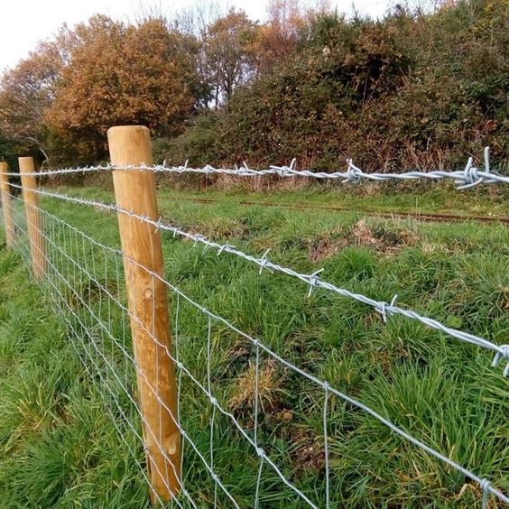 Grassland Fence