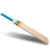 Cricket Bat, Exclusive Cricket Bat for Adult Full Size with Full Protection Cover