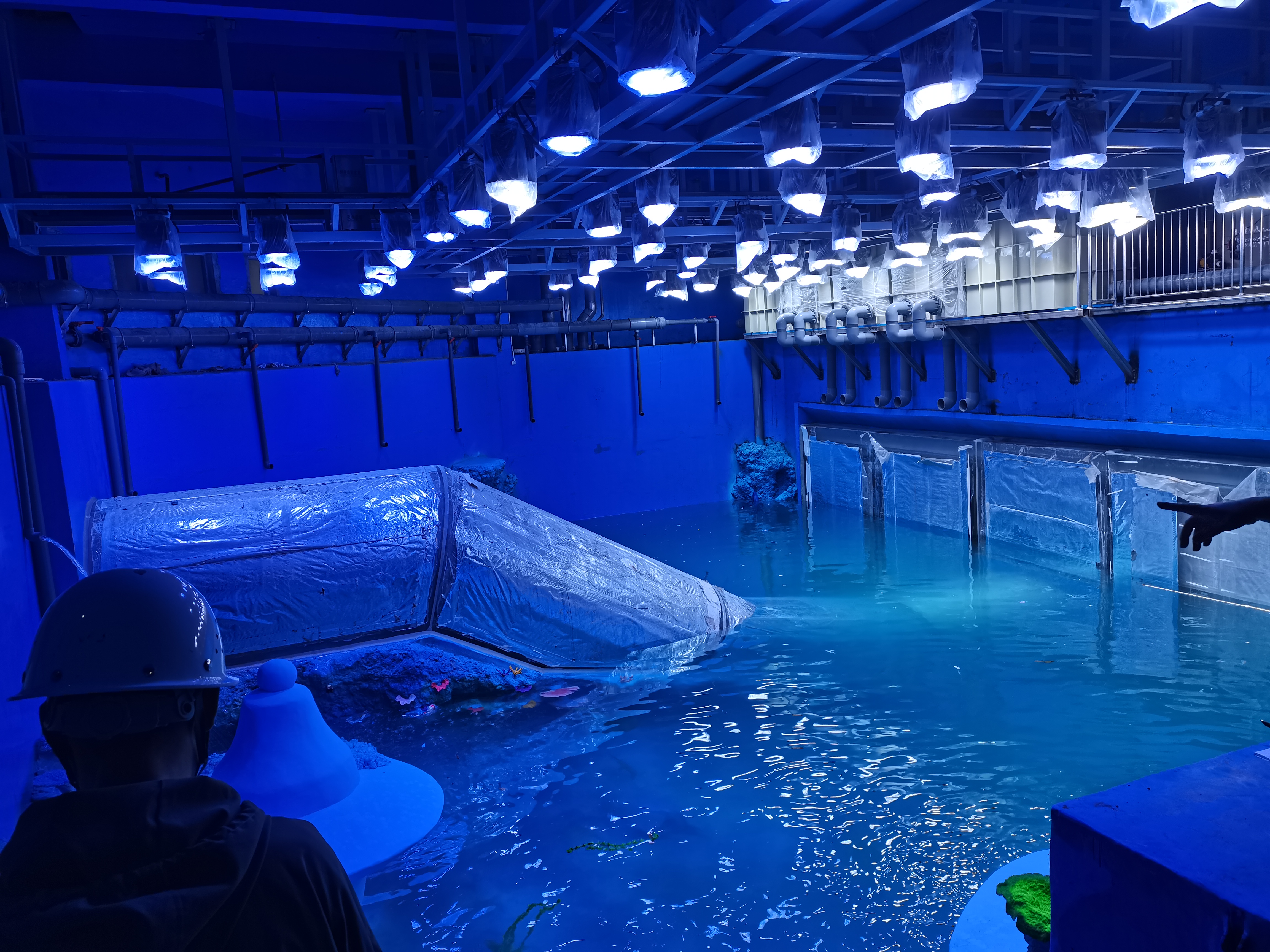 מנהרה אקרילית - התקנה