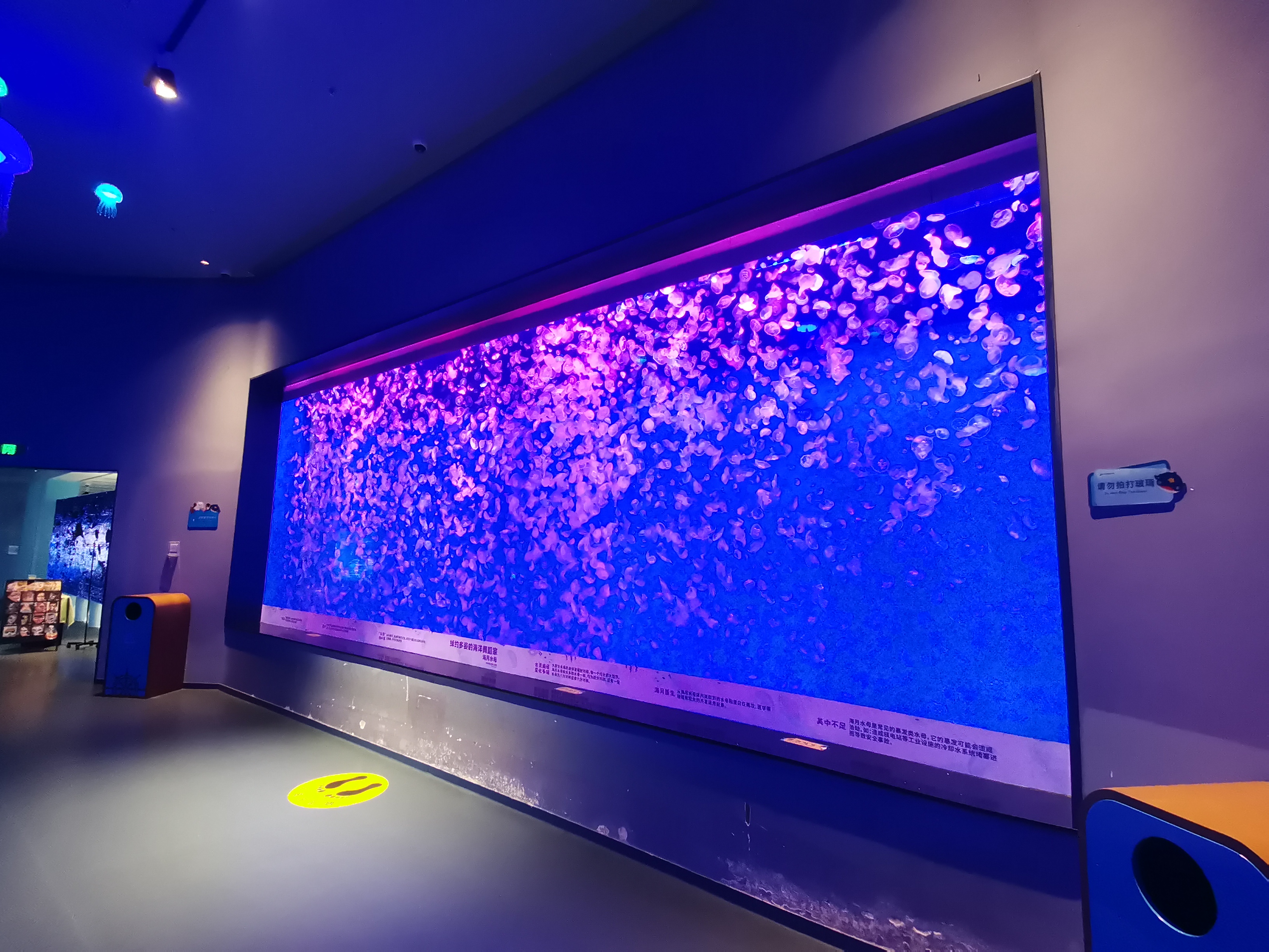 Akrylowy zbiornik na meduzy - LEYU