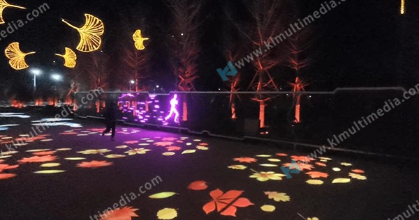 الضوء التفاعلي