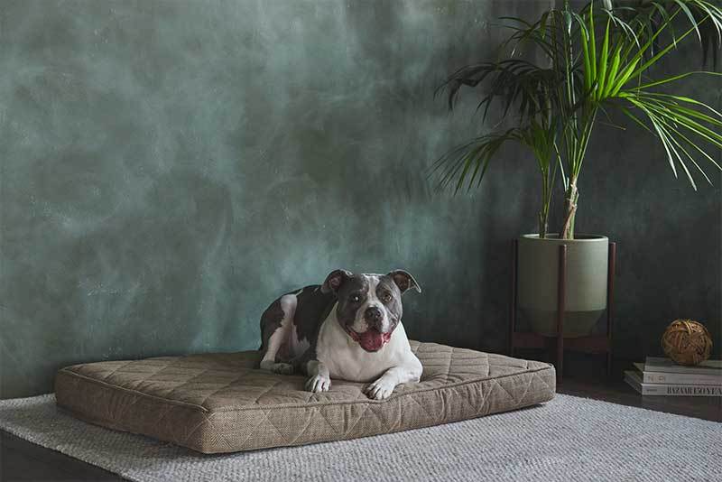 CPS Machine Washable Fluffy Luxe Anti-Slip Pet Bed 