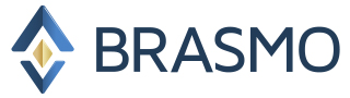 Brasmo 안전 솔루션