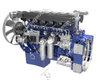 Weichai Original Diesel Motor(WP10.270E52) 