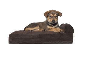 Custom Wholesale Hot Sell Polyester Fiber New Arrival Classic Design Dog Bed Basket Memory Foam Dog Bed