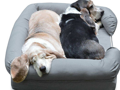 What is the benefits of memory foam dog bed？